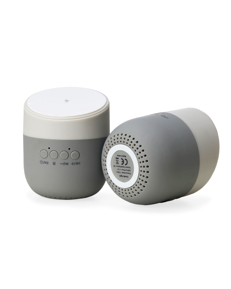 Caixa de Som com Carregador por Indução