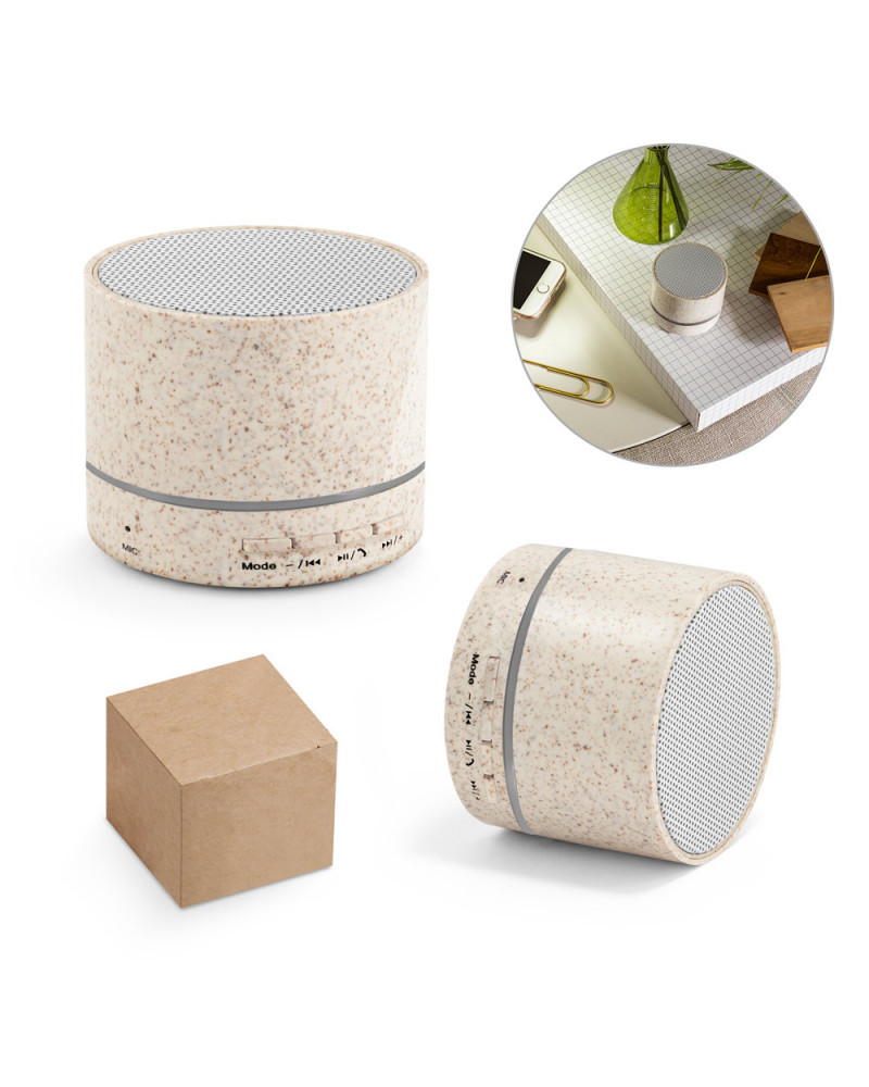 Caixa de Som Portátil Com Microfone