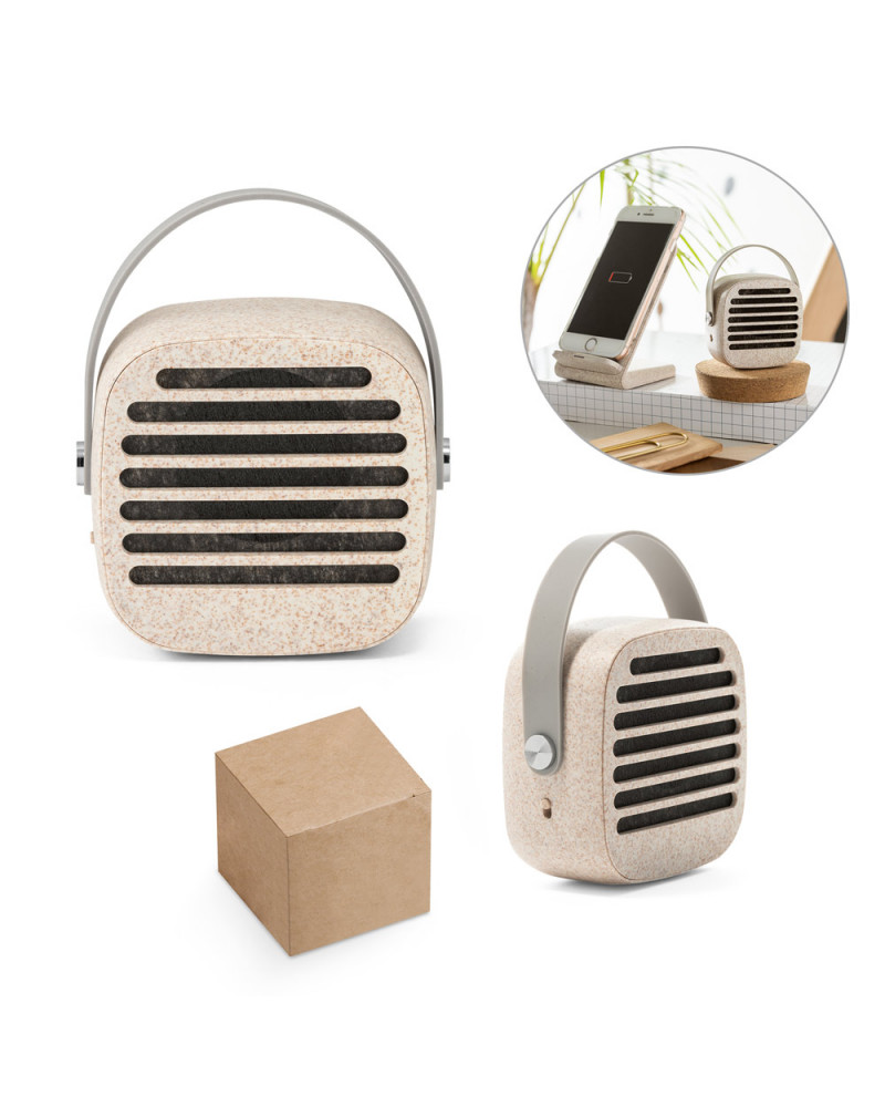 Caixa de som portátil