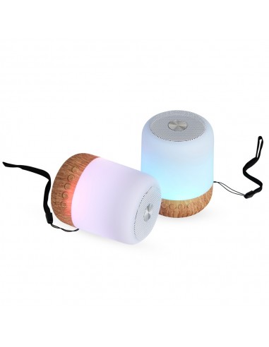 Caixa de Som Multimídia