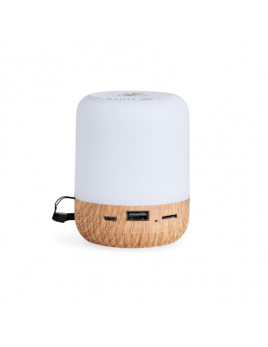 Caixa de Som Multimídia