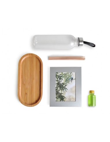 Kit Bandeja, Aromatizador E...